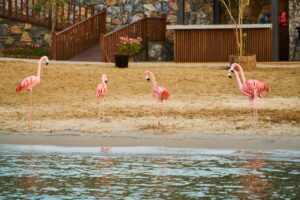 年間休日120日で残業なしの求人はどこで探せる？