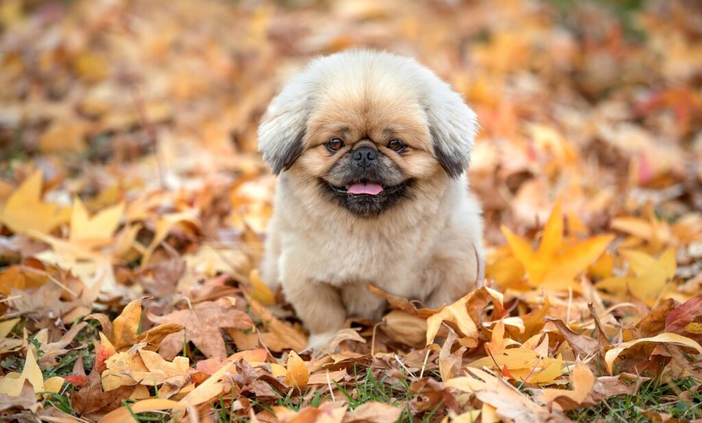 年間休日130日で残業なしの求人はどこにある？