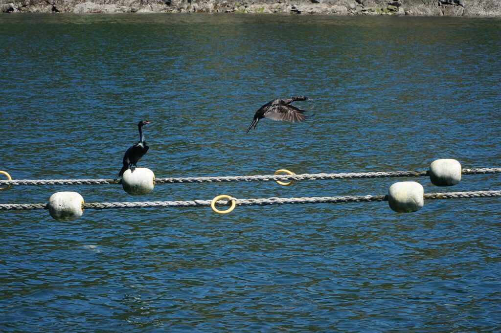 SEが残業なしで転職するためのポイントは？