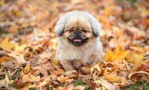 公務員残業なしで実現する理想の働き方とは？