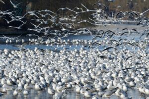 残業多い職場を辞めたいと感じたときの対処法は？