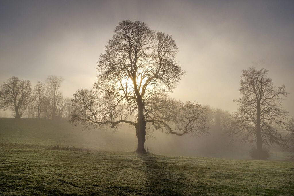 派遣で残業なしの仕事を見つけるためのポイントは？