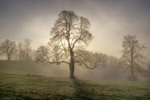 派遣で残業なしの仕事を見つけるためのポイントは？