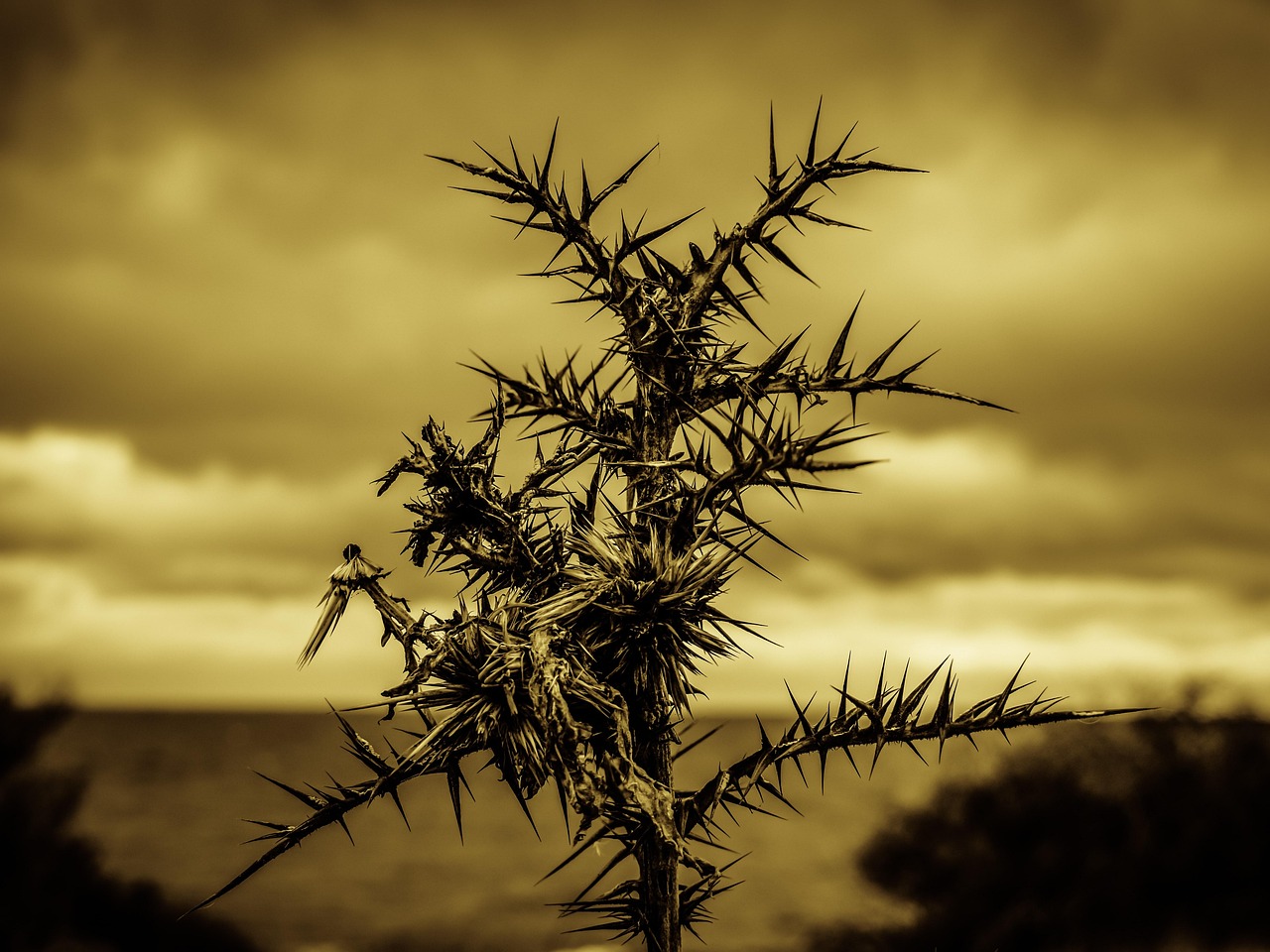 残業なしの引越しを伴う転職は可能ですか？