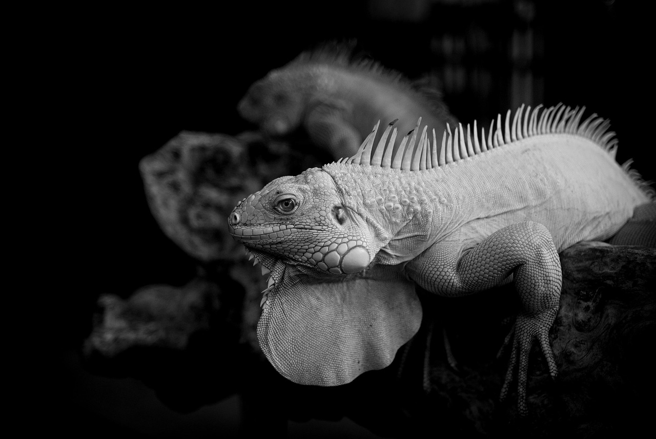 定時退社とフレックスの違いは何ですか？