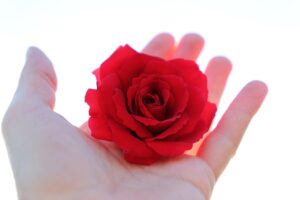 定時退社を実現するための転職エージェントの選び方は？